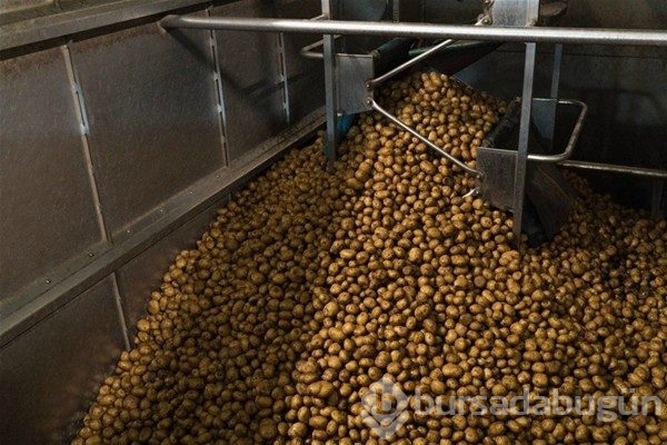 Cips nasıl yapılır?
