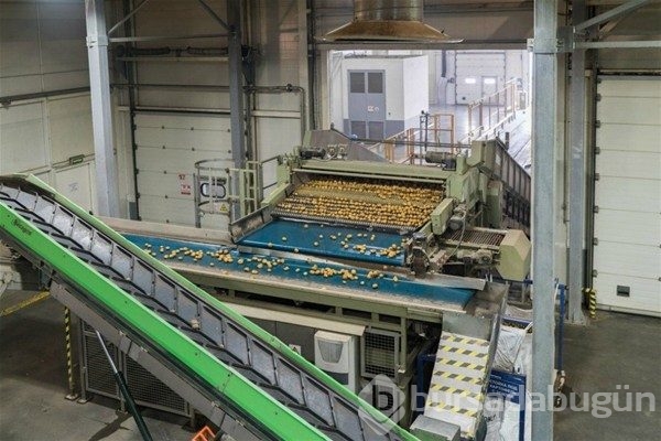 Cips nasıl yapılır?
