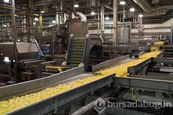 Cips nasıl yapılır?
