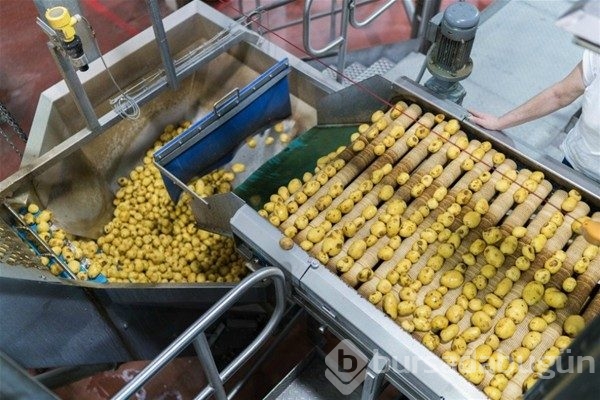 Cips nasıl yapılır?
