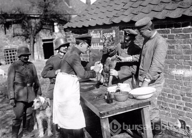 En etkileyici fotoğraflarla 1. Dünya Savaşı