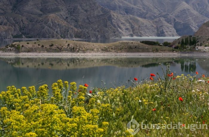 Doğu'nun parlayan yıldızı 'Uzundere'