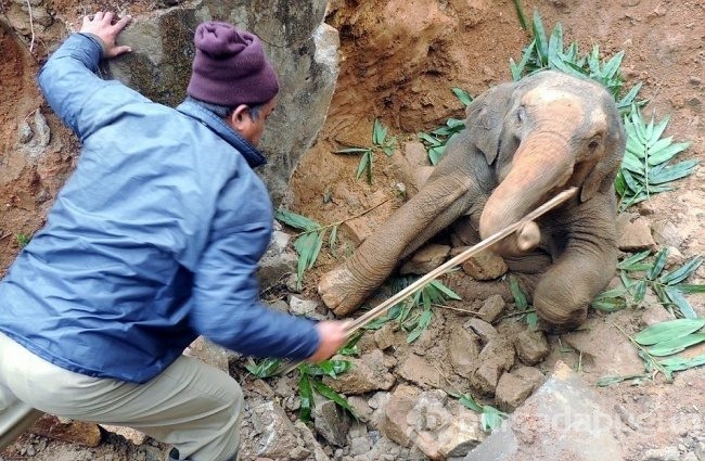 Dünya her şeye rağmen yaşamaya değer dedirten kareler