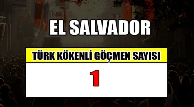 Hangi ülkede kaç Türk yaşıyor?