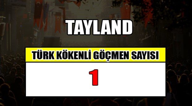 Hangi ülkede kaç Türk yaşıyor?