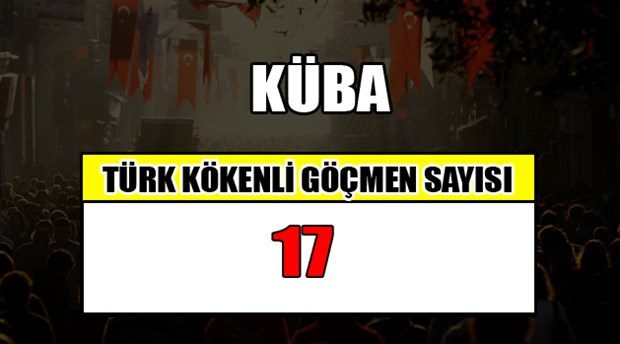Hangi ülkede kaç Türk yaşıyor?