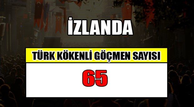 Hangi ülkede kaç Türk yaşıyor?