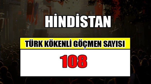 Hangi ülkede kaç Türk yaşıyor?