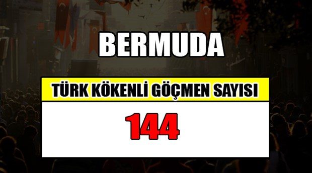 Hangi ülkede kaç Türk yaşıyor?