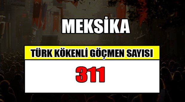 Hangi ülkede kaç Türk yaşıyor?