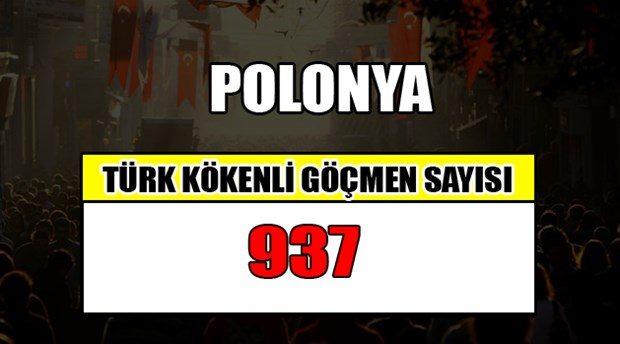 Hangi ülkede kaç Türk yaşıyor?