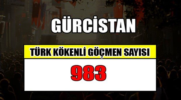 Hangi ülkede kaç Türk yaşıyor?