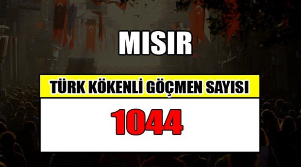 Hangi ülkede kaç Türk yaşıyor?