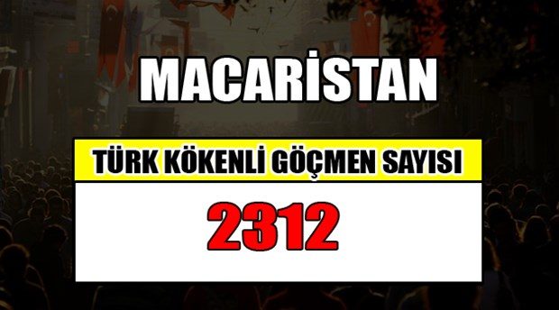 Hangi ülkede kaç Türk yaşıyor?