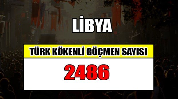 Hangi ülkede kaç Türk yaşıyor?