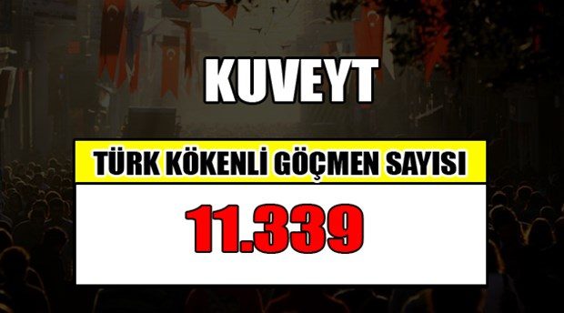 Hangi ülkede kaç Türk yaşıyor?
