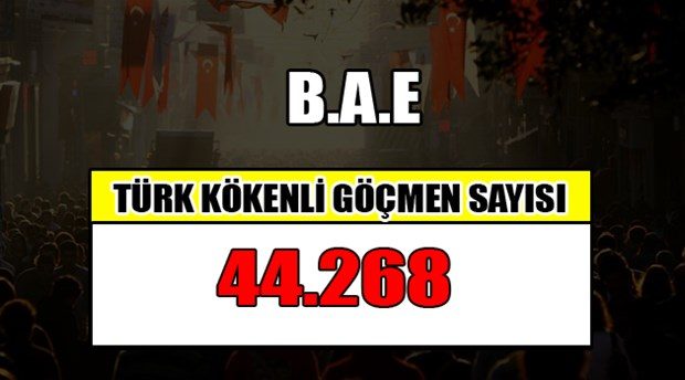 Hangi ülkede kaç Türk yaşıyor?