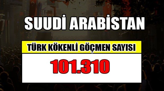 Hangi ülkede kaç Türk yaşıyor?