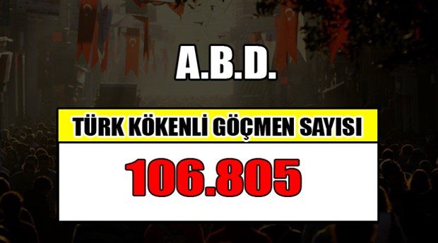 Hangi ülkede kaç Türk yaşıyor?