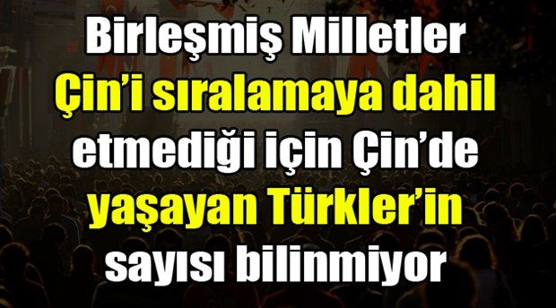 Hangi ülkede kaç Türk yaşıyor?
