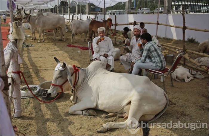 Hindistan'ın geleneksel güzellik yarışmasına ilgi yine büyüktü