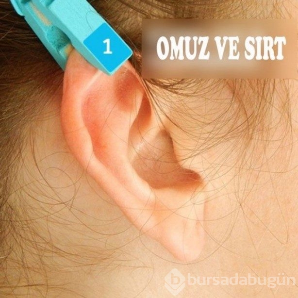 Kulağı mandala sıkıştırmak acı dindirir mi?