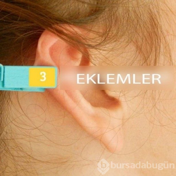 Kulağı mandala sıkıştırmak acı dindirir mi?