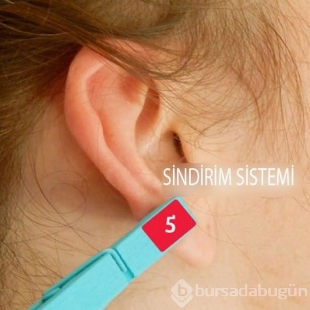 Kulağı mandala sıkıştırmak acı dindirir mi?