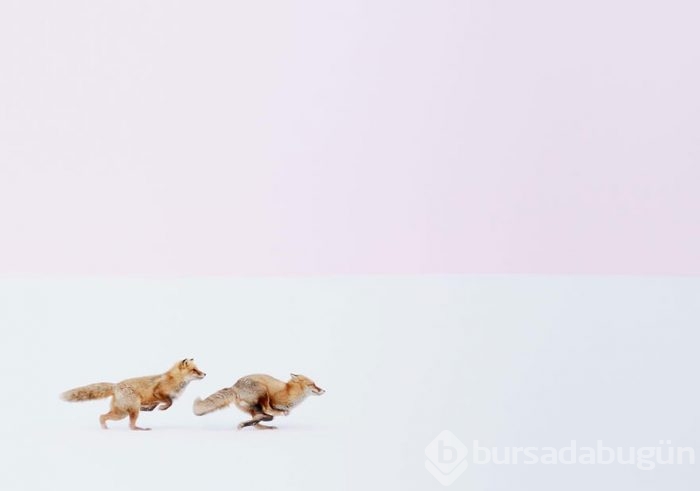 2016 National Geographic Traveler Fotoğraf Yarışması en iyi girişleri	