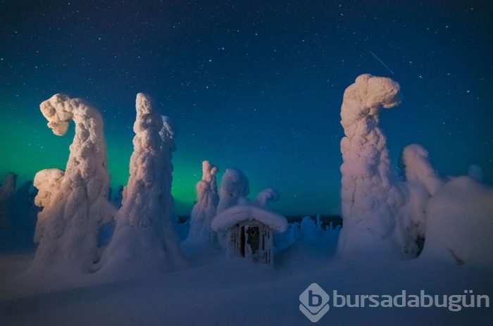 2016 National Geographic Traveler Fotoğraf Yarışması en iyi girişleri	