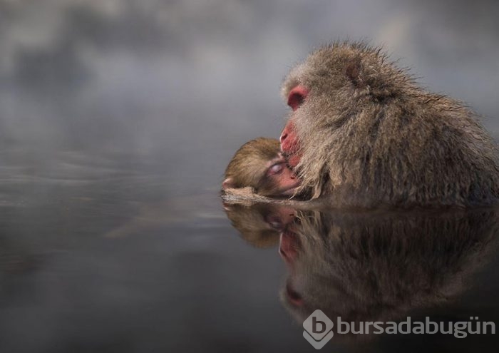 2016 National Geographic Traveler Fotoğraf Yarışması en iyi girişleri	