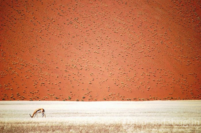 2016 National Geographic Traveler Fotoğraf Yarışması en iyi girişleri	