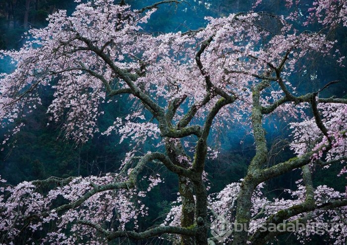 2016 National Geographic Traveler Fotoğraf Yarışması en iyi girişleri	