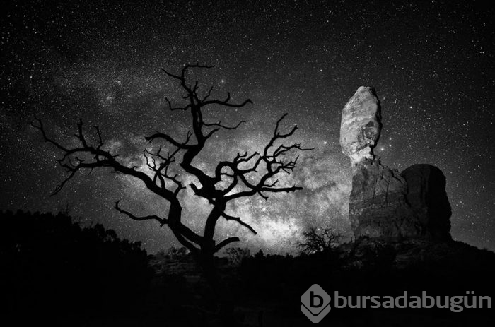 2016 National Geographic Traveler Fotoğraf Yarışması en iyi girişleri	