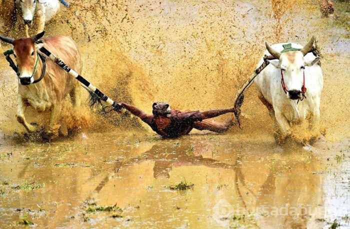 2016 National Geographic Traveler Fotoğraf Yarışması en iyi girişleri	