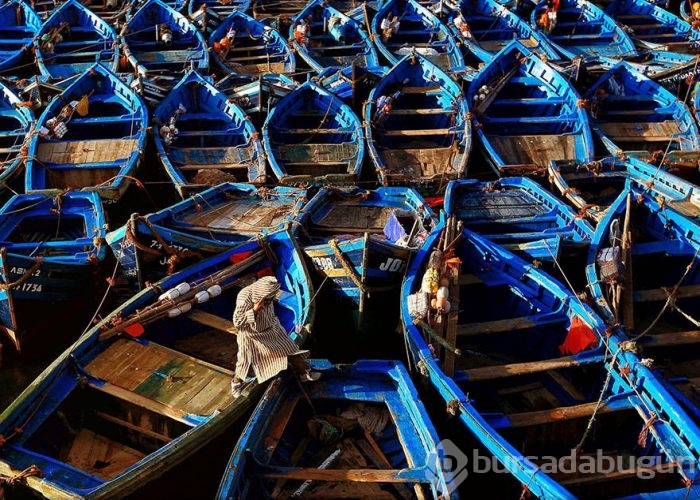2016 National Geographic Traveler Fotoğraf Yarışması en iyi girişleri	