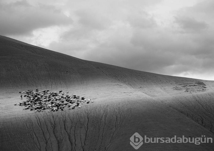 2016 National Geographic Traveler Fotoğraf Yarışması en iyi girişleri	