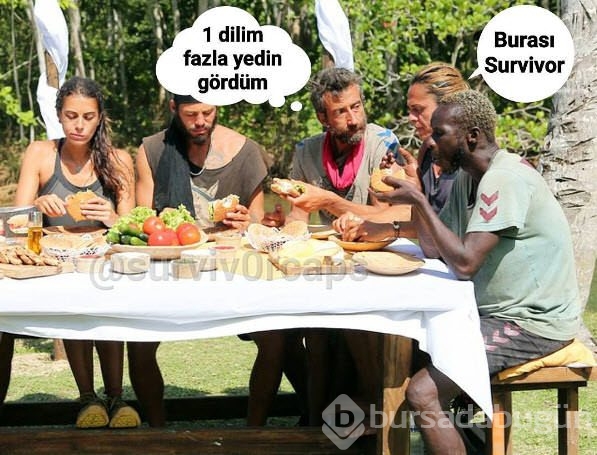 Survivor 2016 Capsleri herkesi güldürdü! 