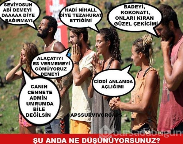 Survivor 2016 Capsleri herkesi güldürdü! 