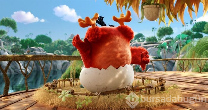 Angry Birds Film