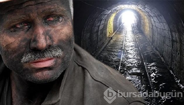 Soma faciasının ikinci yılı