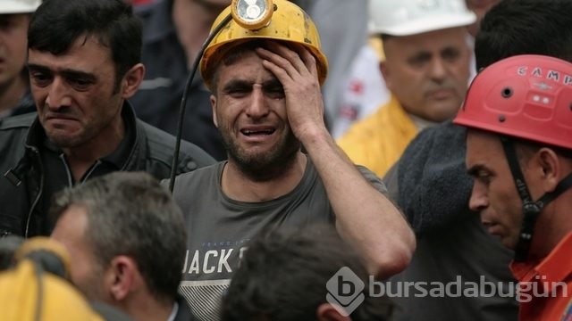 Soma faciasının ikinci yılı