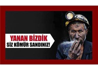 Soma faciasının ikinci yılı