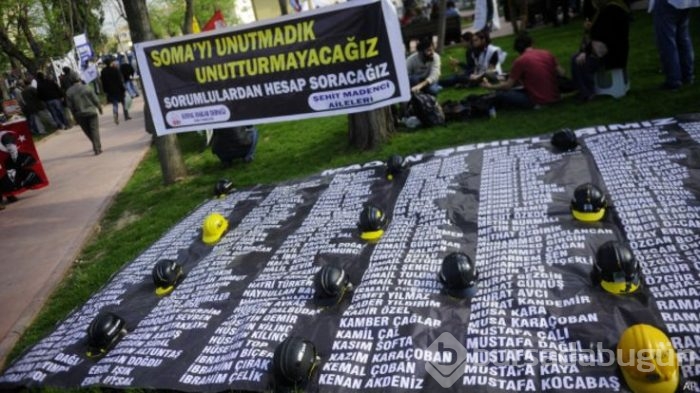 Soma faciasının ikinci yılı