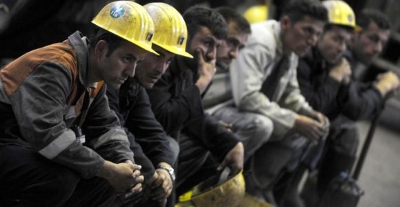 Soma faciasının ikinci yılı
