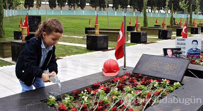 Soma faciasının ikinci yılı