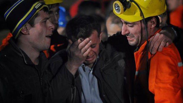 Soma faciasının ikinci yılı
