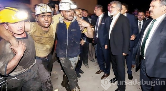 Soma faciasının ikinci yılı