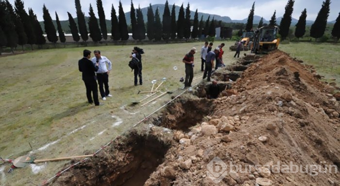 Soma faciasının ikinci yılı