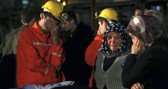 Soma faciasının ikinci yılı